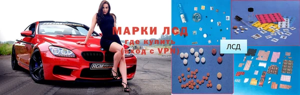 индика Абаза