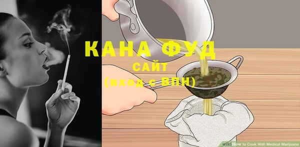 индика Абаза