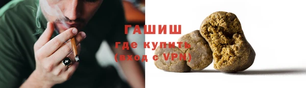 индика Абаза