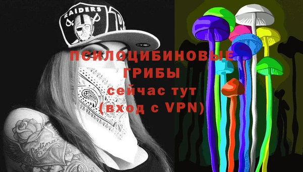 шишки Абдулино