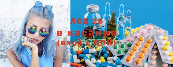 индика Абаза