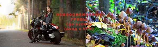 шишки Абдулино