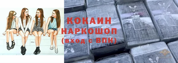 индика Абаза