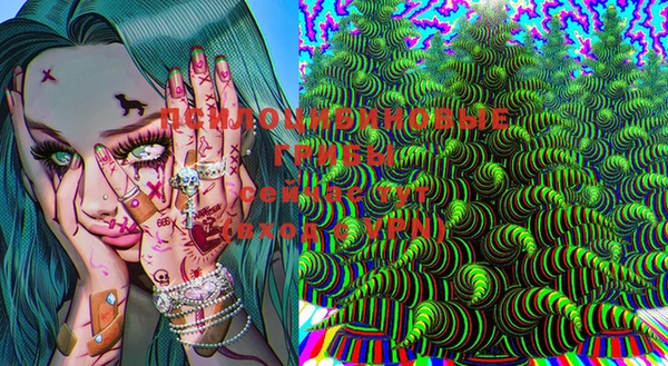 индика Абаза