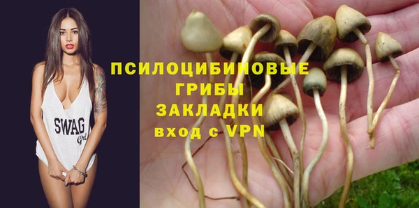 индика Абаза