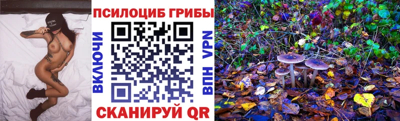 Псилоцибиновые грибы Cubensis  кракен сайт  Юхнов 